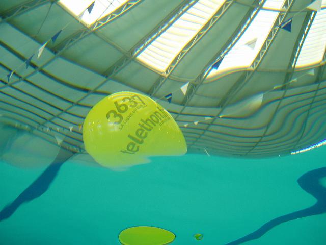P1010100.JPG