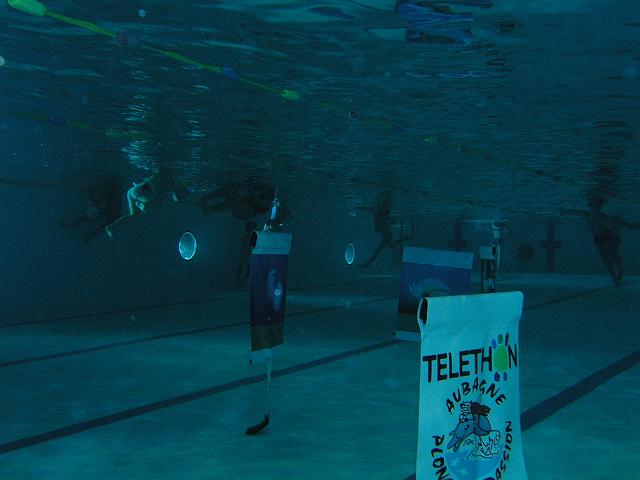 P1019161.JPG