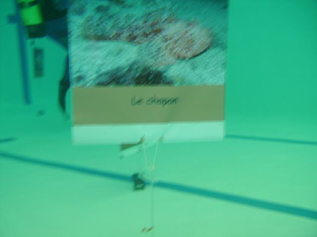 PICT0049.JPG