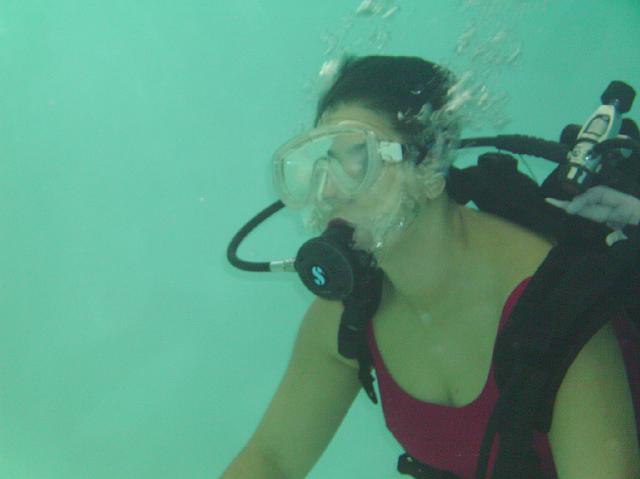 PICT0110.JPG