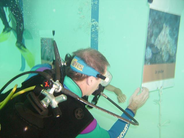 PICT0167.JPG