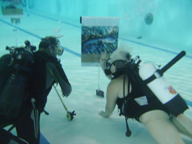 PICT0256.JPG