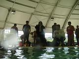 PICT0084